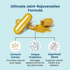 BB Company Provitalize | Probiotics for Women Digestive Health, Menopause, Joint Support | Sexy Midsection Curves, Bloat | Turmeric Curcumin Moringa | Packaging Vary | 60 Ct