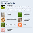 Stonehenge Health Dynamic Brain Supplement