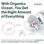 Organics Ocean Pure Magnesium Glycinate with Zinc - Maximum Strength Chelated Magnesium Supplement for Women and Men for Muscle Cramps and Sleep Support - 90 Capsule