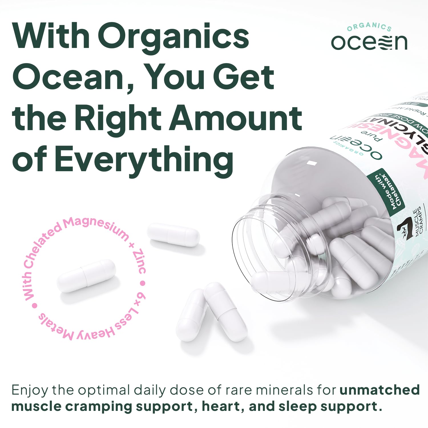 Organics Ocean Pure Magnesium Glycinate with Zinc - Maximum Strength Chelated Magnesium Supplement for Women and Men for Muscle Cramps and Sleep Support - 90 Capsule