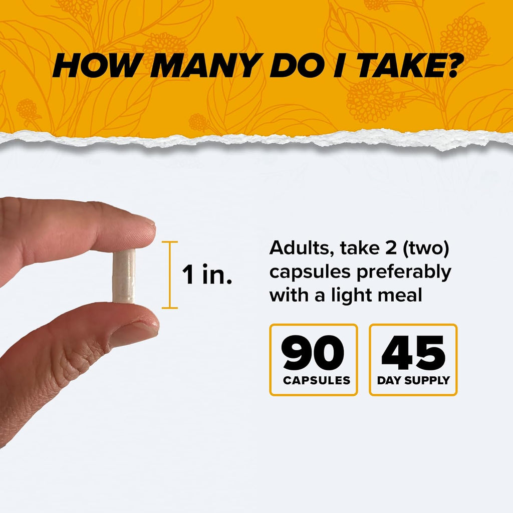 ONNIT Alpha Brain Nootropic Brain Supplement for Men & Women (90 Count)