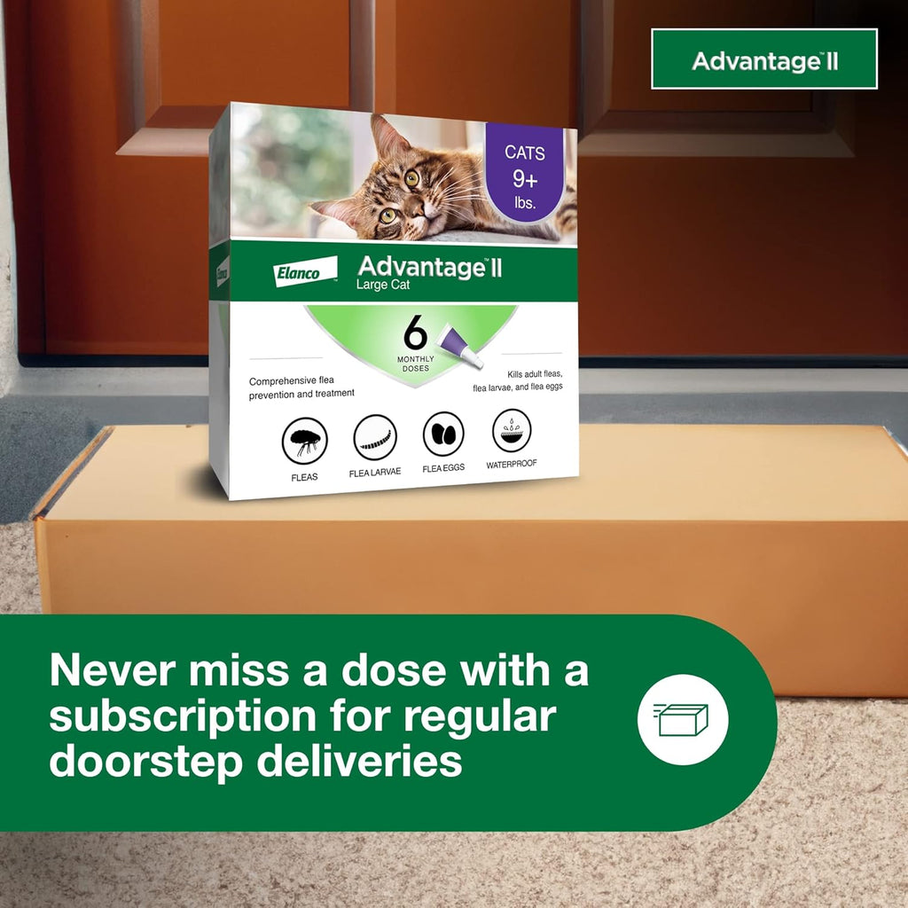Advantage II Large Cat Flea Treatment & Prevention – Vet Recommended | For Cats Over 9 lbs | 6-Month Supply