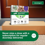 Advantage II Large Cat Flea Treatment & Prevention – Vet Recommended | For Cats Over 9 lbs | 6-Month Supply